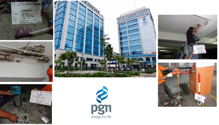 Structural Assesment